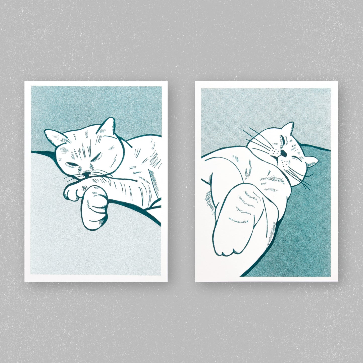 Best Cat Friend Postkarten-Set