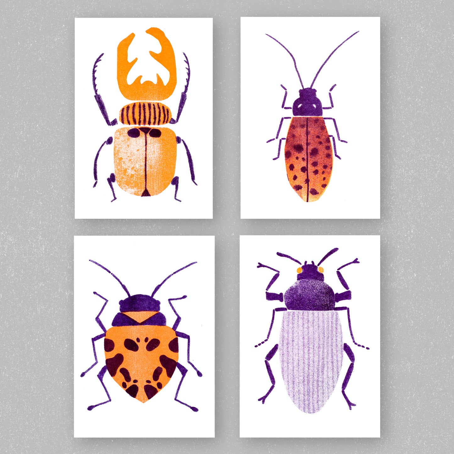 Riso Käfer Postkarten-Set