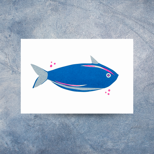 Familie Fisch Postkarten-3er Set