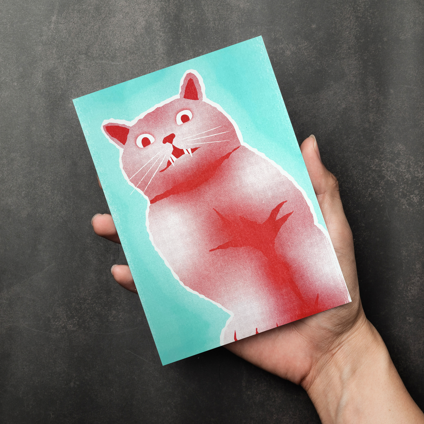 DraCATula Postkarte