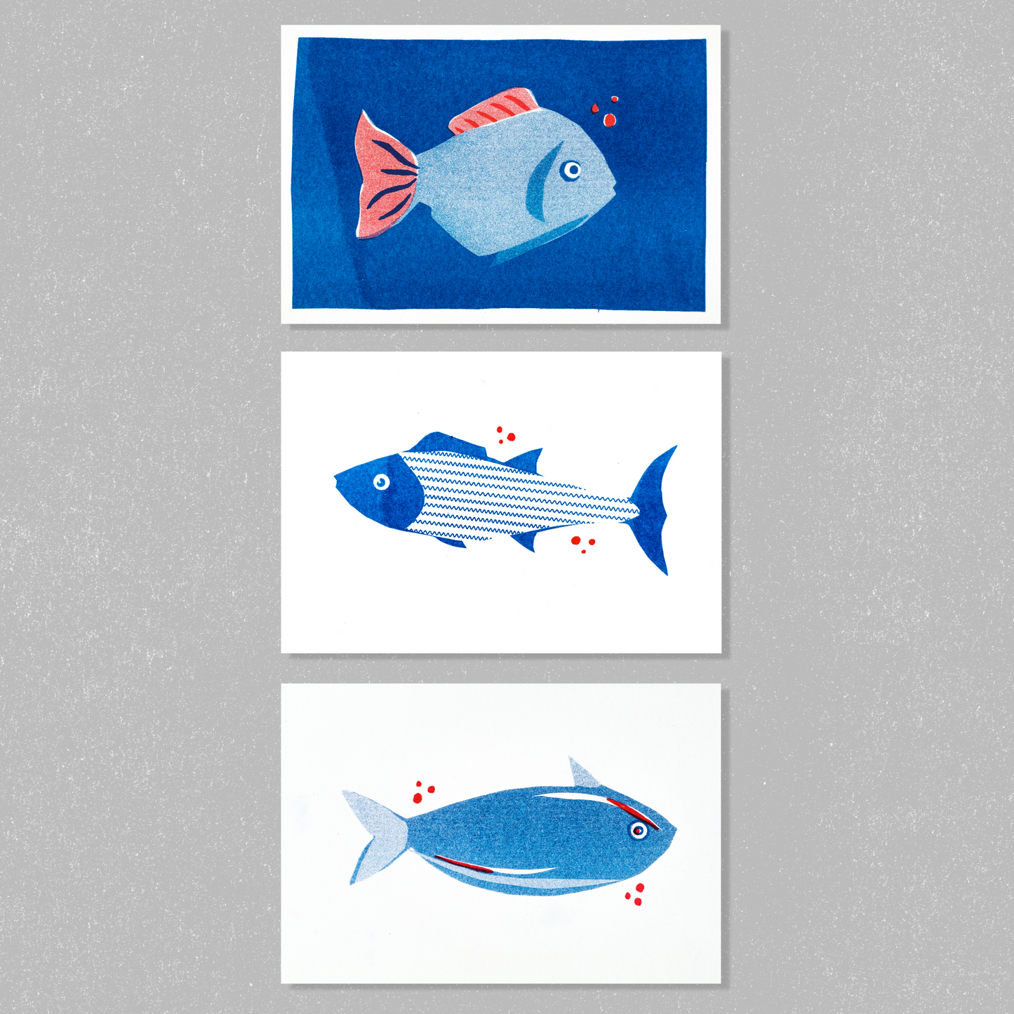 Familie Fisch Postkarten-Set